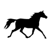 6 6