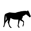 7 7