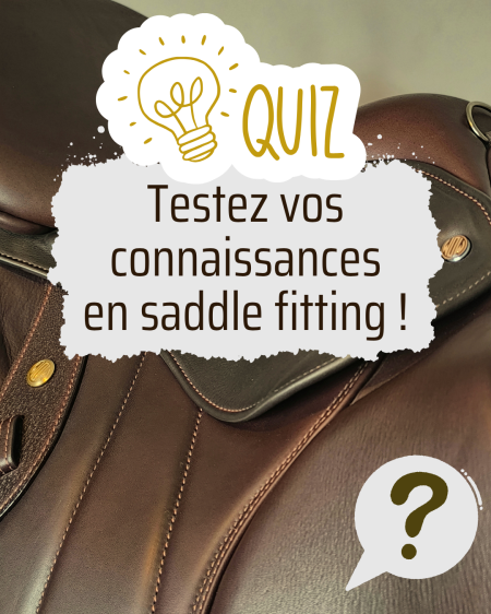quiz visuel